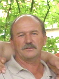 Vukosav Miljojković - Vule